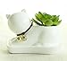 Youfui Cute Succulent Planter Animal Shaped Flower Pot Decor for Home Office Desk (Cat)