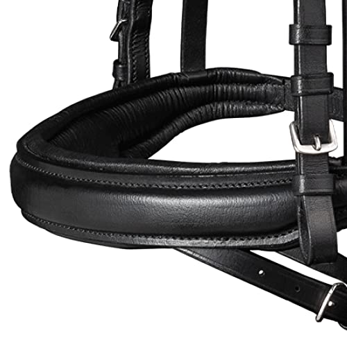 Foto von WALDHAUSEN Trensenzaum X-Line Beauty, ENGL.Komb., schwarz, VB, VB, schwarz