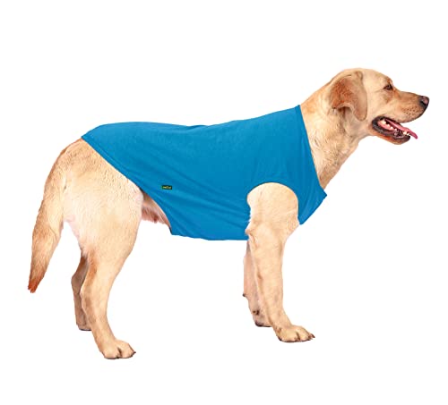 Sychien Dog Blank Blue Shirt,Boy Girl Dogs Medium Tee Shirts,Plain French Bulldog T-Shirt,M Blue Royal #TOP4