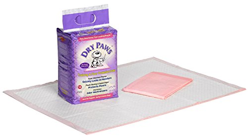 Image of Midwest Homes for Pets Midwest Dry Paws Training and Floor Protection Pads, 50-Count