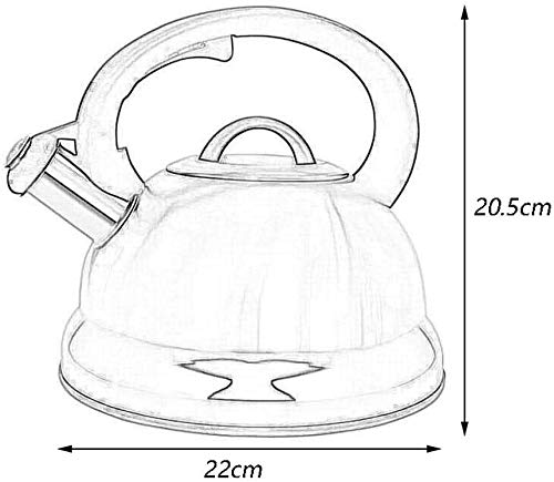 Teapot 3L durable SHISHI contre le calcaire et l'usure