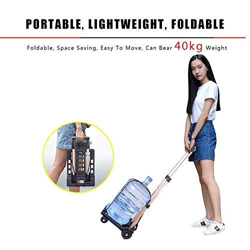 Carretilla plegable para equipaje con capacidad 100 kg miniatura 4
