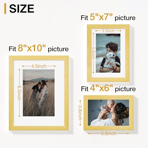 Image of Vittanly 12 Pack Picture Frames Collage Wall Decor for Mounting or Tabletop Display, Gallery Wall Frame Set for Family, Multi Sizes Including 4pcs 8x10, 4pcs 5x7, 4pcs 4x6, Gold