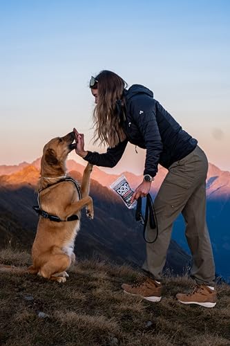 Dogvanture Buddy Snack 99% Wildschwein Würfel Soft 500 g | Monoprotein Hundeleckerli | Getreidefrei, Zuckerfrei, ohne künstliche Zusätze | Barf-inspiriert | Nicht bröselnd & Nicht fettend