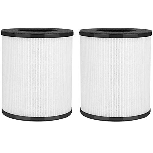Fette Filter - VK-6067B H13 True HEPA Filtros compatibles con HOKEKI VK-6067B y Vremi True Hepa H13 con carbón activado, paquete de 2 (VK6067B)