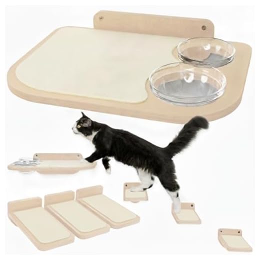 Wall-Mounted Cat Shelves with Food Bowls