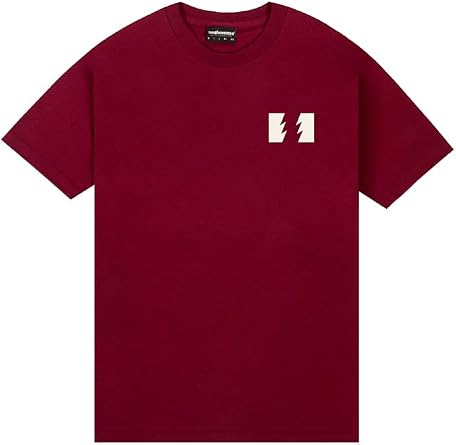 The Hundreds Unisex-Adult Wildfire Short Sleeve T-Shirt Standard Fit