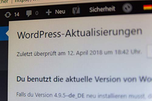 Elementor Popups, DSGVO Updates, WPML Geschichtl