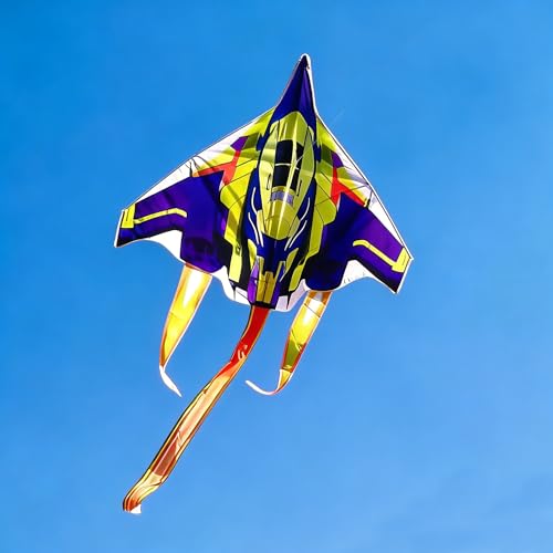 Besra Colorful Plane Kite Single Line Easy to Fly Aircraft Nylon Kite (Blue)