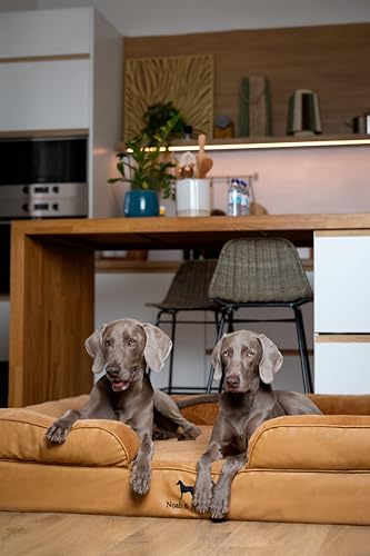 Image of NOAH & PAW Giant Dog Bed XXL, 55x45x11 Inch, Orthopedic Dog Beds, Eggshell Memory Foam Infused with Cooling Gel, Inner Cover, Water Resistant, Machine Washable (Faux Leather)