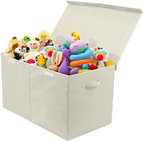 Kids Collapsible Storage Chest with Flip Top Lid by Sorbus