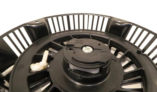 Arranque de retroceso Briggs para poner a punto su cortacésped 7