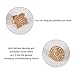 UNICRAFTALE 24pcs 12 Styles Golden Bohemian Stud Earring Findings Stainless Steel Ear Stud Component with Loop Butterfly Stoppers 0.7mm Pin Mixed Shapes Earring for Jewelry Making, Hole 1mm