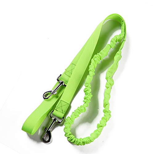 Zhbotaolang Waist Belt Bag Sports Running Jogging Workouts Dog Leash Walking Storage Pack Green #TOP4