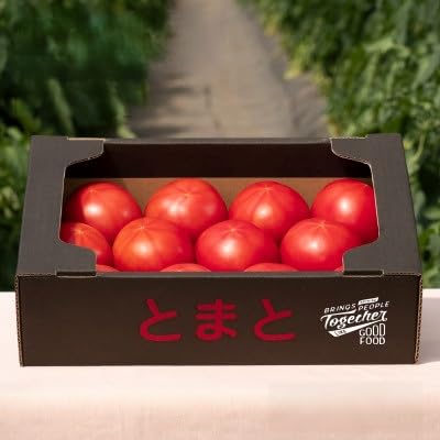 (先行予約)樹上熟3段採り 桃太郎トマト / 正品2kg箱(10〜15玉入)