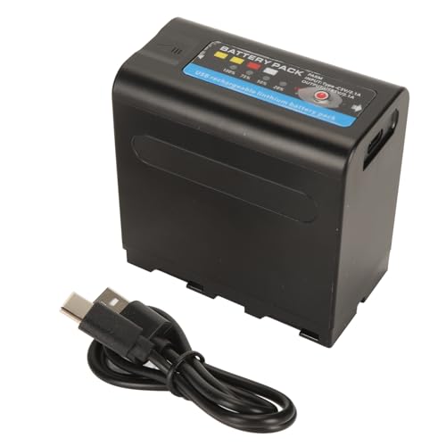 Batterie NP-F980 pour tournages extérieurs charge USB Type C active