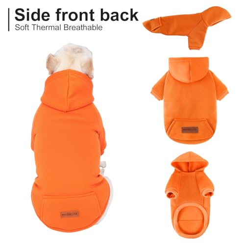 Image of 1 Pack Dog Hoodie Warm Hood Dog Sweater Cold Weather Small Dogs Sweatshirt Comfort Pet Clothes for Small Medium Dogs with Pockets Cats Chihuahua Clothes for Male Female Girl Boy Sporty Daily Wear