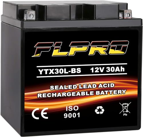 YTX30L-BS Battery Replacement Yuasa YIX30L Motorcycle Battery - Factory Sealed - Maintenance Free - High Performance ETX30L BS For Harley Davidson Polaris Sportsman