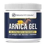 Farmacia Veterinaria