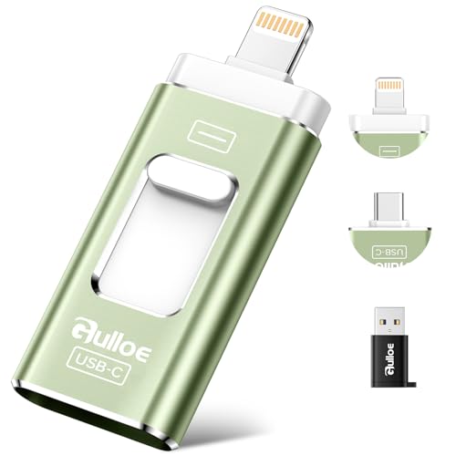 Gulloe 512GB Dual Interface Flash Drive for Phone Storage Photos Videos, Phone USB Backup External...