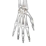 Bargain Max Decals Grenade Skull Skeleton Glove Hand Window Laptop Car Sticker 6'