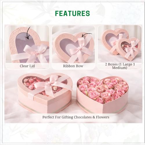 Image of Oasis Pack of 2 Heart Shaped Gift & Flower Hamper Boxes With Clear Lid & Satin Ribbon | Classic Bouquet Box for Flower Arrangements & Gift Hampers | Decorative Gift Packaging Box - Pink Blush Heart