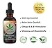 Produktbild Nature Hemp 20ml 15% ESSENZ | Naturprodukt aus Österreich