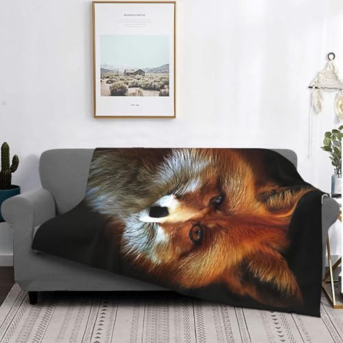 Couverture de lit légère microfibre confort thermique FOX2 - 5