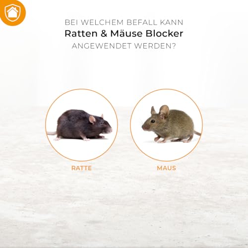 PROTECT HOME Ratten & Mäuse Blocker vertreibt Ratten und Mäuse zuverlässig mit sofortiger Wirkung und bis zu 2 Monate Dauerwirkung, 300 g