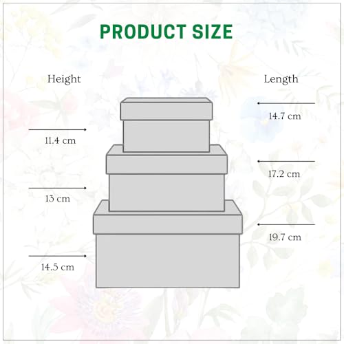 Image of Oasis Pack of 3 Premium Square Gift & Flower Hamper Boxes With Lid | Classic Bouquet Box for Flower Arrangements & Gift Hampers | Decorative Gift Packaging Box With Waterproof Liner - Gold