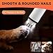 Silent Groom Pro Nail Grinder for Dogs - Quiet Dog Nail Grinder with LED Light, 3-Speed Cordless, 2000mAh Battery & 2 Grinding Heads for Safe Trimming of Small, Medium, Large Dogs and Cats