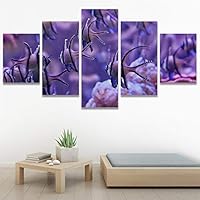 SIGNWIN 5 Panel Canvas Wall Art Colorful Fish Group Marine Life Multicolor Nautical Photography Realism Ultra for Home Decorations Ready to Hang - 60