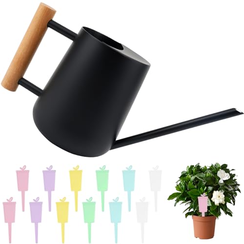 Giesskanne 1L Edelstahl Schwarz Gießkanne für Zimmerpflanzen, Vintage Blumengießkanne mit Langer Auslauf und Komfortgriff für Sukkulenten Zimmerpflanzen und Topfblumentopf