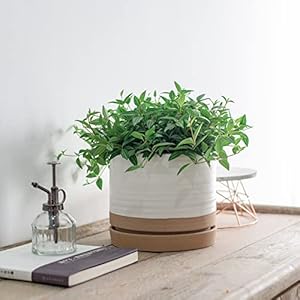 8 inch pots for plants ceramic planter pot with drainage hole saucer indoor or outdoor cylinder round planter pot matte white beige  urban country home decor