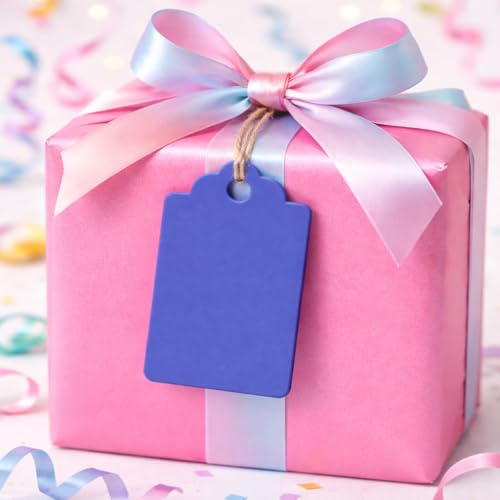 Image of CVANU 300pcs Premium Color Tag Blank Hanging with Pre-Punched Hole Tags for DIY Crafts, Gift Wrapping, Labelling & Writable Decorative Tags for All Occasions (2.85in X 1.7in) Blue