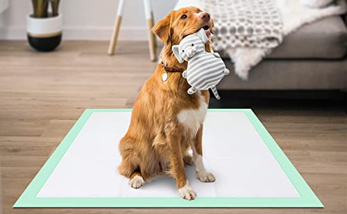 Training Pad 24" X 23" Large 50 Count, 5 Layer Puppy Pee Pads, Super-Absorbent, Dog Crate Pads, New & Improved Puppy Pads