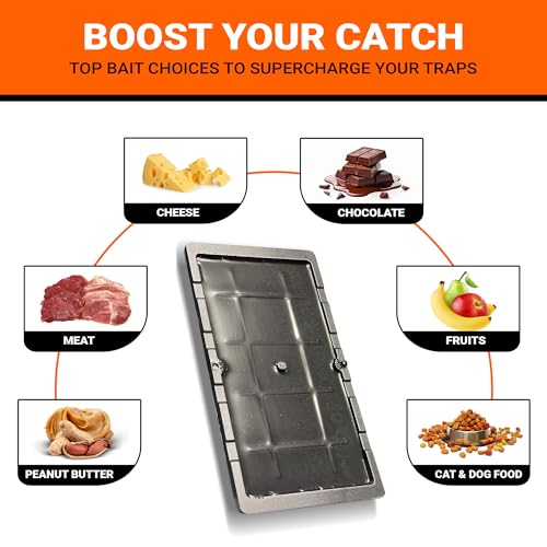 PESTQUEST 12 Pack Glue Mouse Traps Indoor for Home, Large Glue Traps for Mice and Rats, Pre-Baited Peanut Scent Sticky Rat Traps for Inside House, Snake, Lizard, Insect & Spiders, Pet & Family Safe