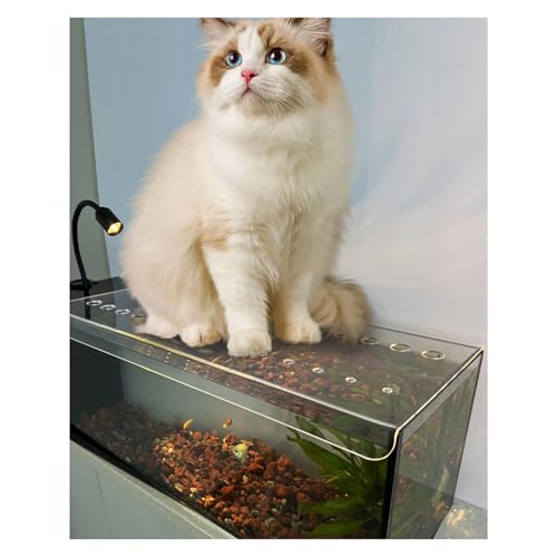Cat Proof Fish Tank Lid, Custom Fish Tank Hood Cover,