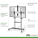 conecto TV Ständer Standfuß rollbar 55-100 Zoll für viele Fernseher/Monitore I Mit Rollen höhenverstellbar/schwenkbar I Modell LM-FS03G