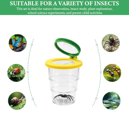 Lot de 4 kits insectes