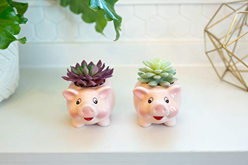 Flora Bunda Artificial Plants in Cute Animal Novelty Planter Artificial Succulent in 4.8" Small Pink Pig Ceramic Planter,Set of 2, 4.88 x 3.5 x 5 inches - Thumbnail 7