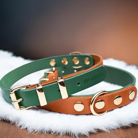 PP COLOR Premium Genuine Leather Dog Collar - Durable 4.5mm Thick, Color-Blocking Design with Rose Gold Hardware, Available in 4 Sizes for Small, Medium and Large Dogs, Green 13.5-17 in Cover