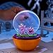 MGA's Miniverse Make It Mini Halloween (3 Pack), Beetlejuice, Mini Collectibles, Mystery Blind Packaging, Spooky, Halloween, Seasonal, DIY, Crafts, Resin Play, Replica Food, NOT EDIBLE, Collectors, 8+