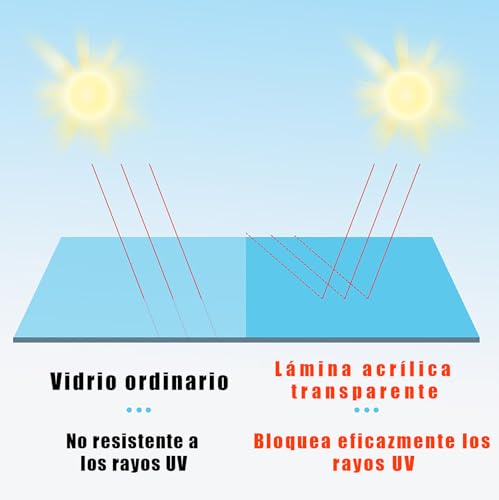 Panel de techo de policarbonato resistente a la intemperie y protección UV 5