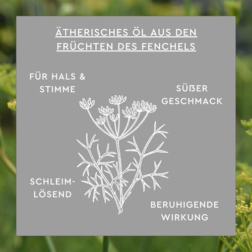 SUNLIFE Fenchelhonig AH 350 g - Sirup gegen Erkältung & Husten - Wirkstoff bitteres Fenchelöl - Hustenlöser für Kinder ab 1 Jahr - Fenchelhonig flüssig