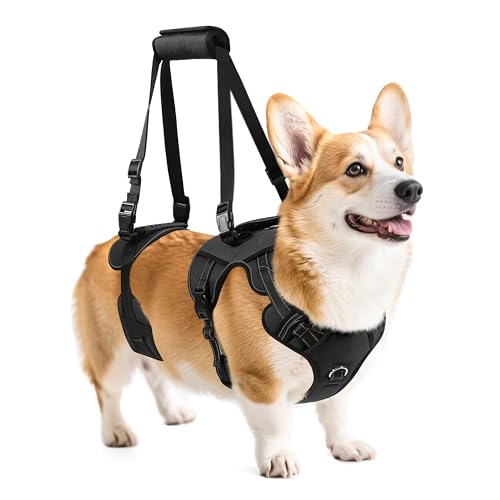 Image of NOYAL Dog Lift Harness for Senior & Injured Pets - Full-Body Support Sling with Breathable Mesh, Front /Rear Leg Assist for Arthritis, Hip Dysplasia & Post-Surgery Recovery (Medium-Large Breeds)