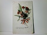  Militaria / Patriotika. Innige Glückwünsche zum Geburtstage. Alte Ansichtskarte / Postkarte farbig, gel. als Feldpost 1916. Nelkenstrauss mit patriotischer Schleife, 1. WK
