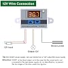 XH-W3001 Digital LED Temperature Controller Module Digital Thermostat Switch with Waterproof Probe Programmable Heating Cooling Electronic Thermostat Range from -50C to 110C (12V 10A 120W) (2 Pieces)