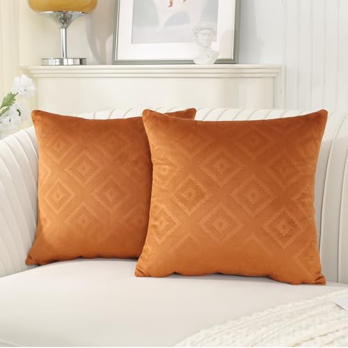 Ystyle Funda Cojin 45x45 de Terciopelo 2 Piezas Fundas Cojines Sofa Decorativas con Cremallera Invisible Suave y Lavable Antiácaros Transpirable Hipoalergénico para Moderna Salon, Marrón