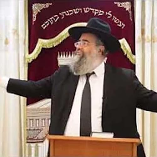 העולם מסודר... לגמרי!!! - [פנחס תשפ"ו] ✦ הרב איתן כהן